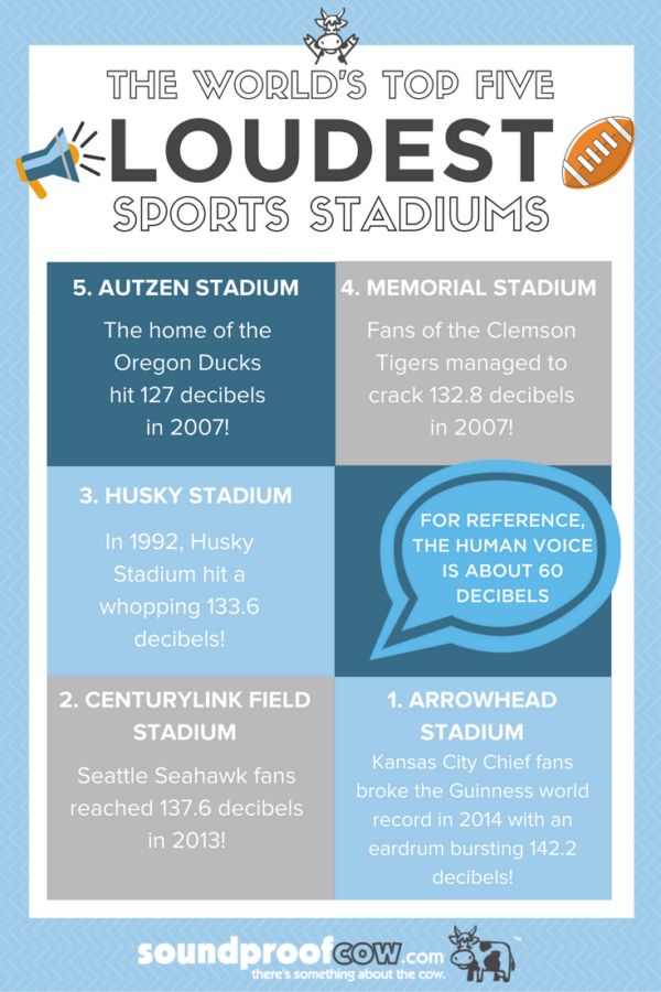 These are the Loudest Sports Stadiums in the World