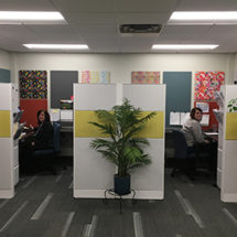 acoustic panels in office cubicles