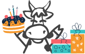 cow with birthday cake